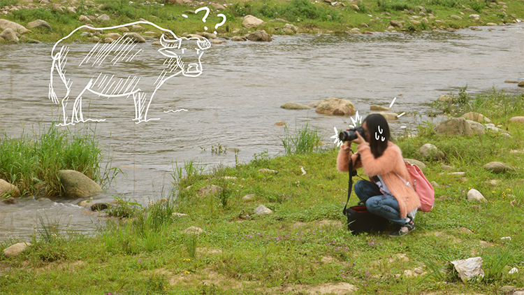 ���Ρ�(�й���)�����ٷ���վ-YY SPORTS