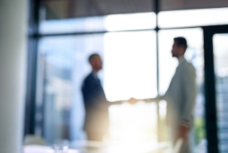 19����ְҵ���� ��ҹ�˾�����ʡ��ṹ