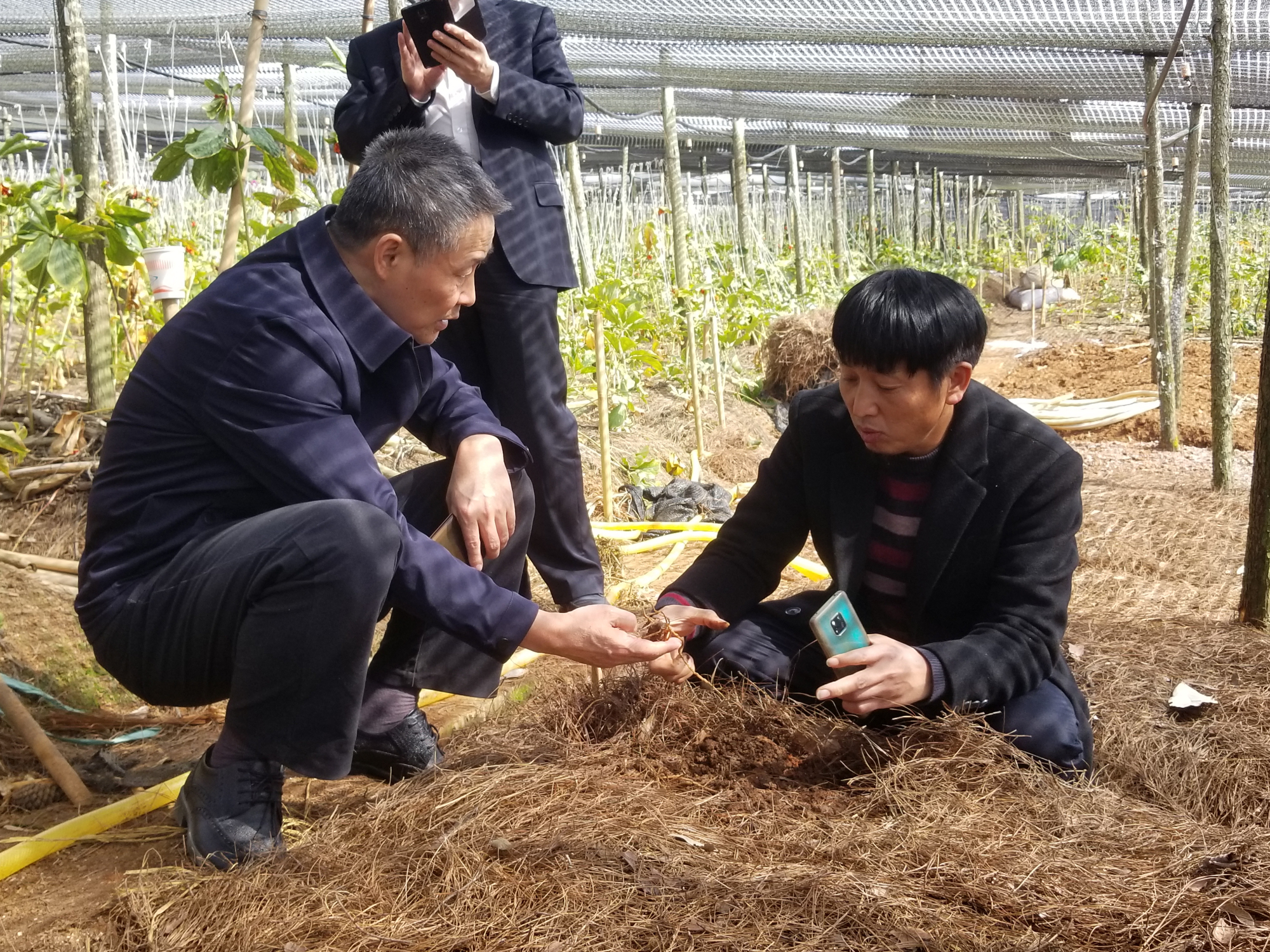 首页 - 菲律宾亚星国际官方网站